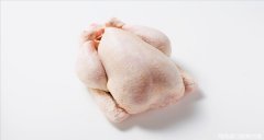 泰國雞肉海運(yùn)到上海進(jìn)口報(bào)關(guān)代理公司