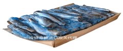 上海進(jìn)口冷鏈?zhǔn)称穲?bào)關(guān) 需核算檢測(cè)及包裝消毒