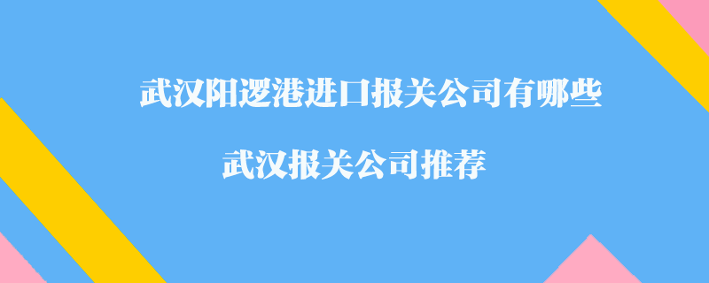武漢陽邏港進口報關公司有哪些？武漢報關公司推薦