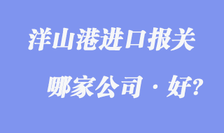 洋山港進口報關(guān)公司哪家好?