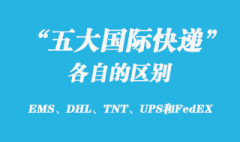 EMS、DHL、TNT、UPS和FedEX國際快遞有哪些區(qū)別？