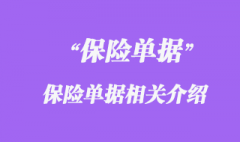 保險單據(jù)
