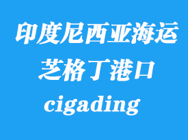 印度尼西亞海運(yùn)港口：芝格?。╟igading）港口
