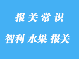 智利水果進口報關(guān)費用是怎樣的?